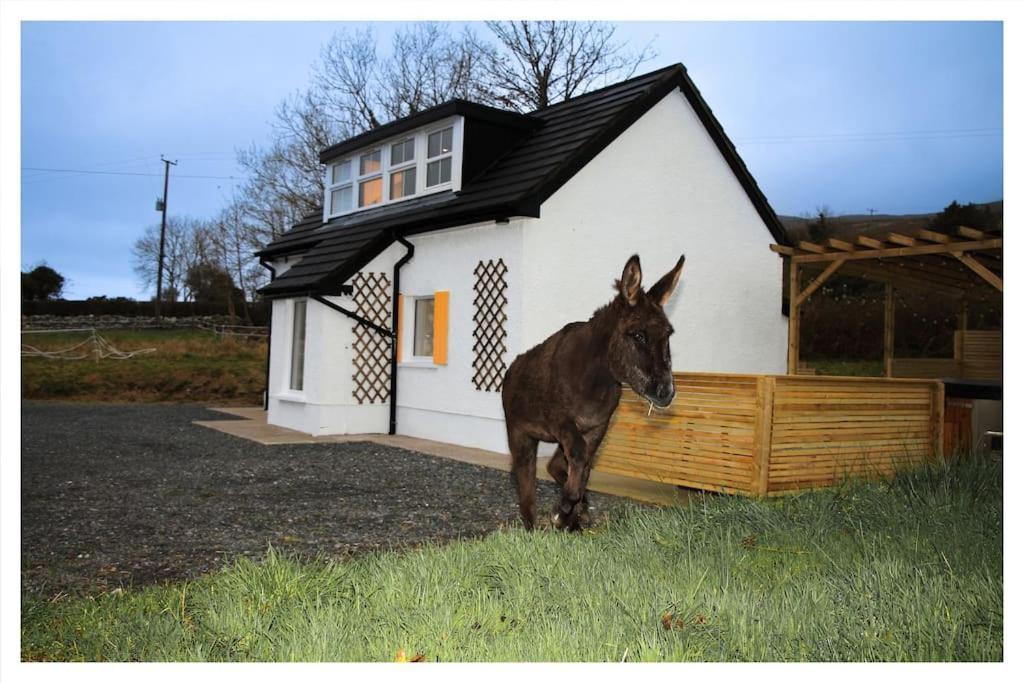 Killeavy Cottage Meigh المظهر الخارجي الصورة