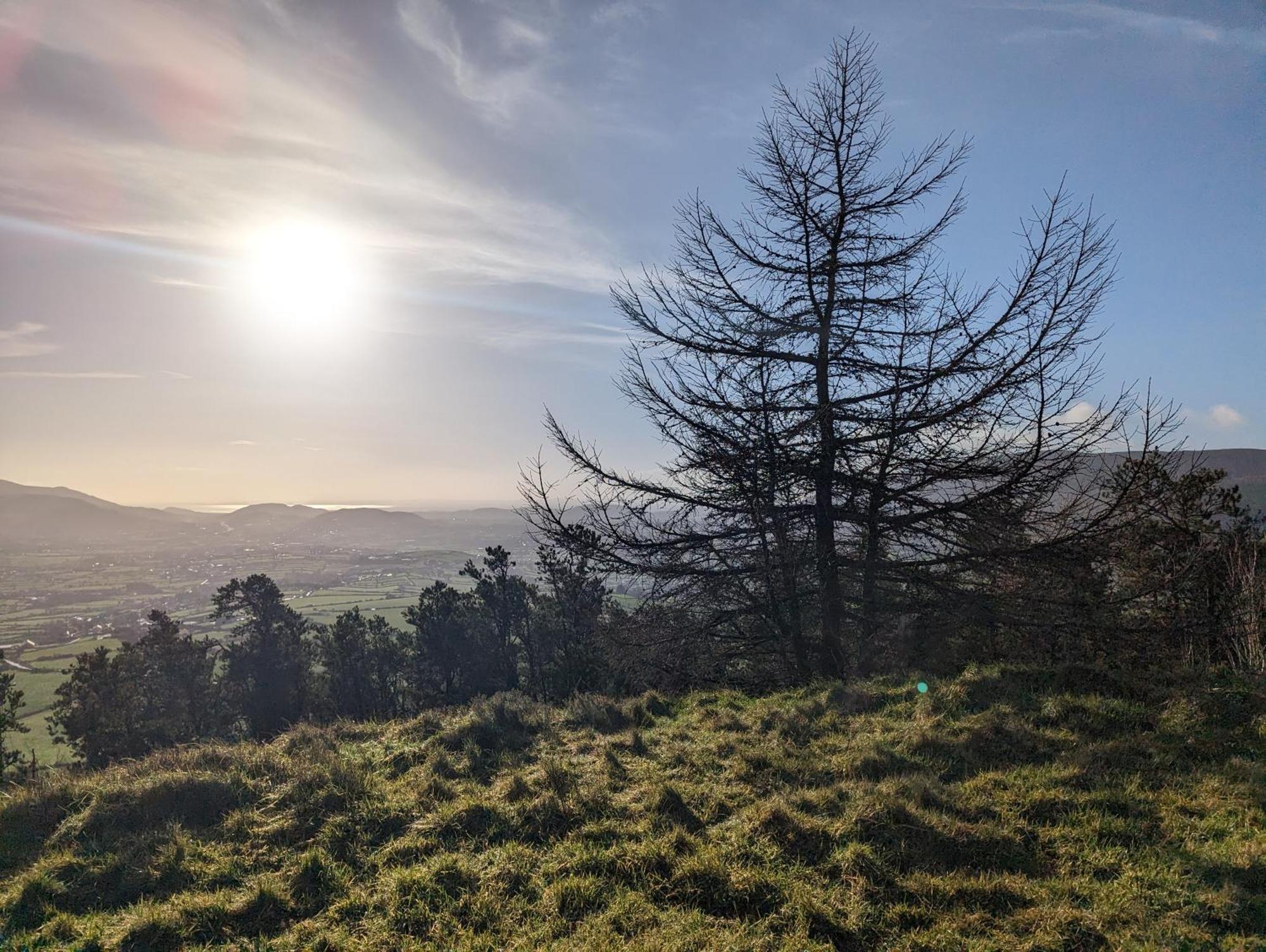 Killeavy Cottage Meigh المظهر الخارجي الصورة