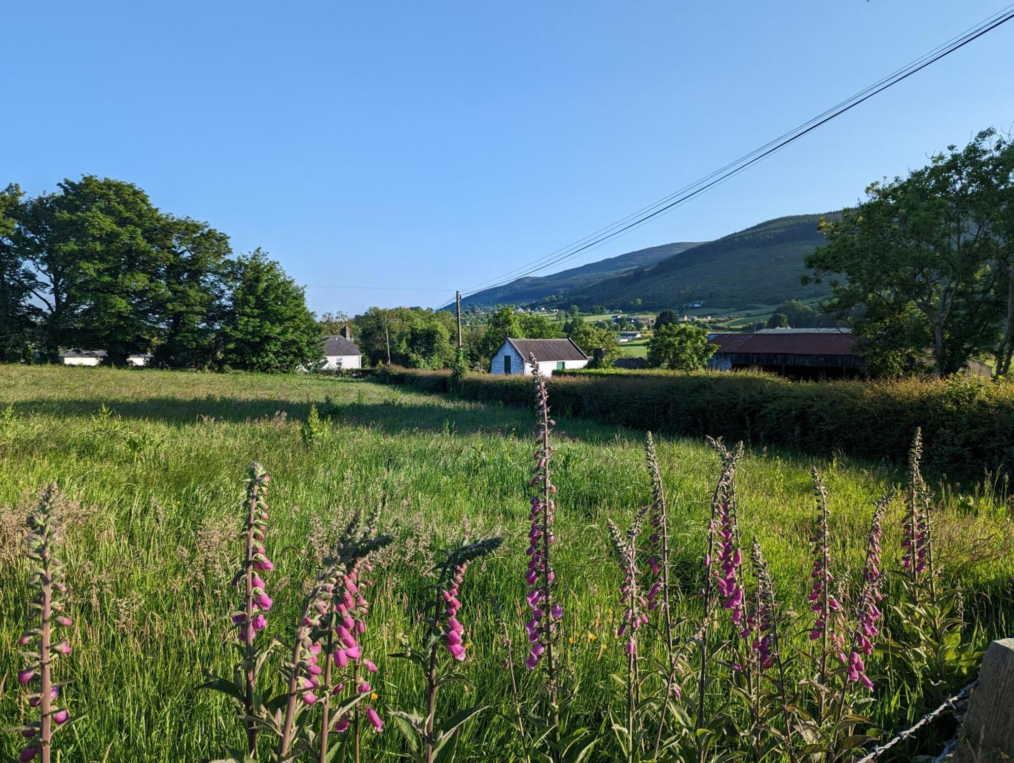 Killeavy Cottage Meigh المظهر الخارجي الصورة